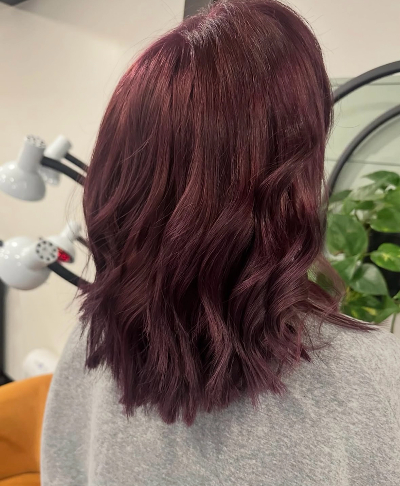 Solid Color