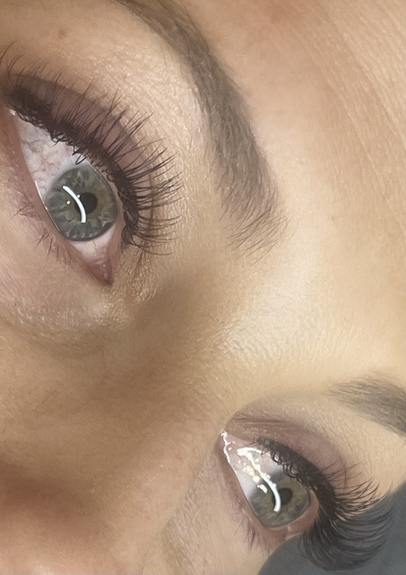 Natural Brown Lash (Mocha)