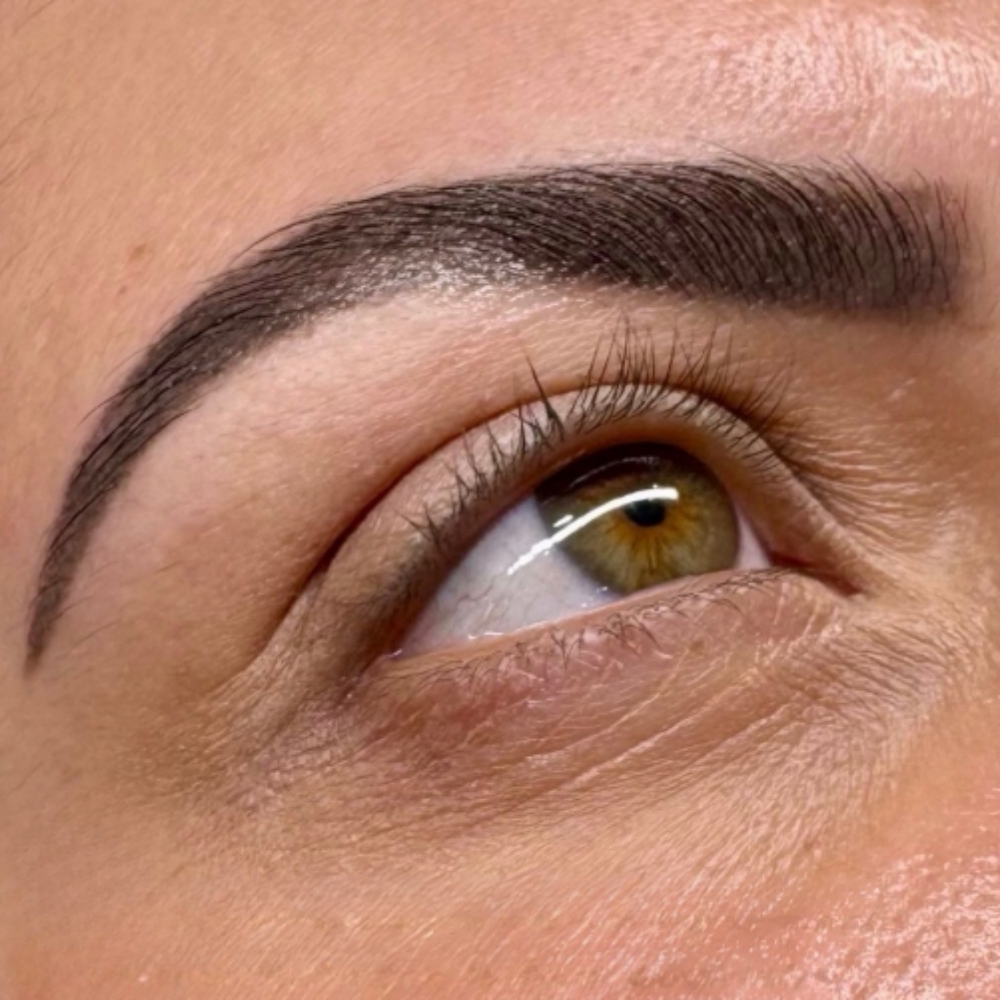 A1 Brow Lamination at Stephs A1 Beauty Bar in Southwest Ranches, FL