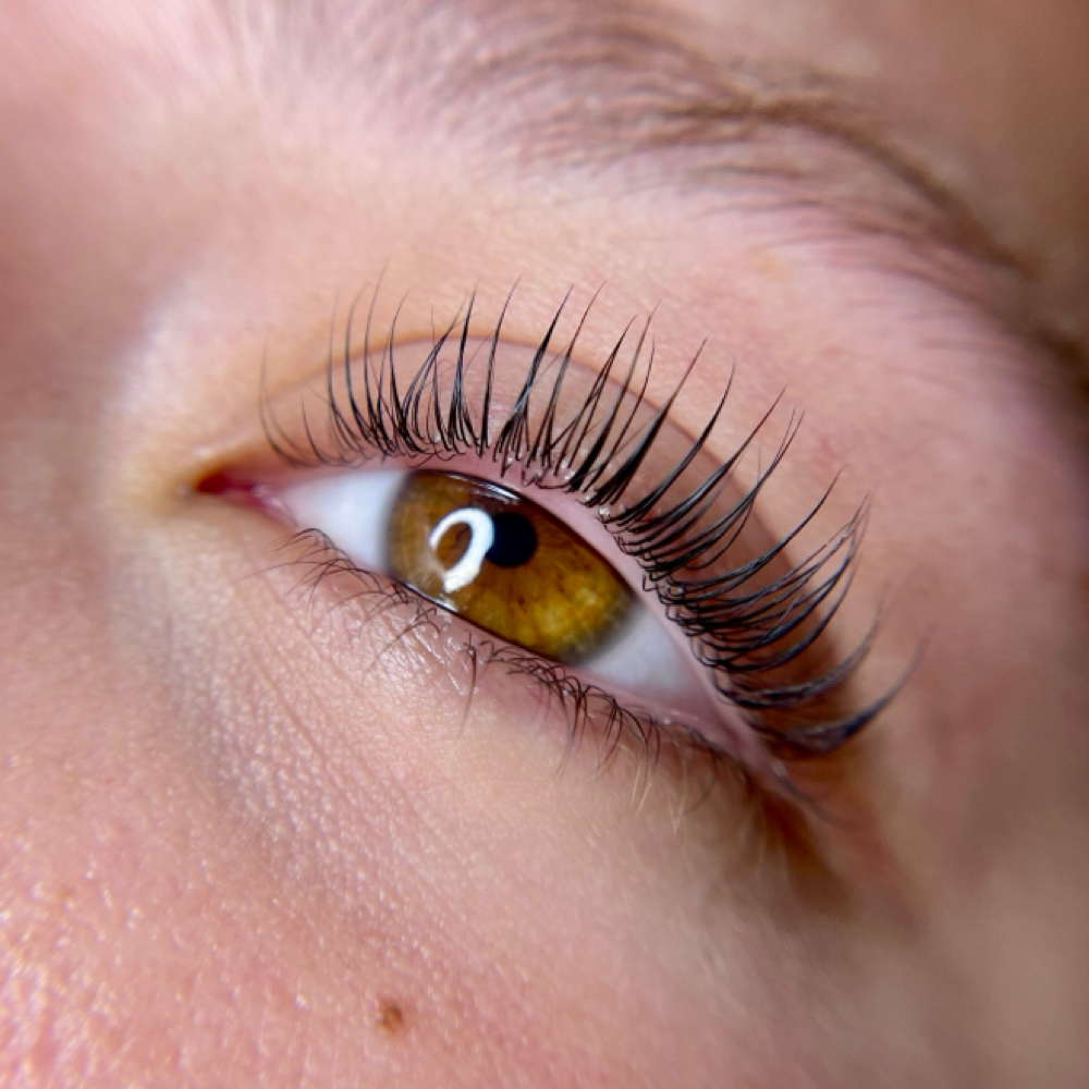 Korean Lash Lift/Lamination at Studio Blanc in Richardson, TX