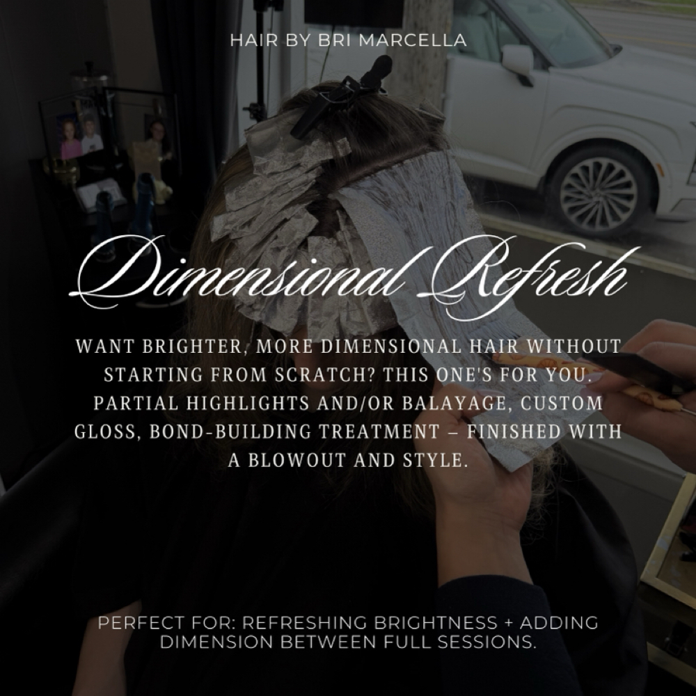 Dimensional Color Refresh Session at Hair by Bri Marcella @ The Main Attraction in Williamsville, NY