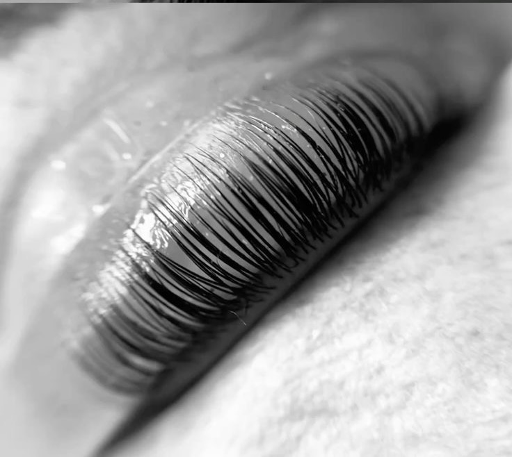Lash Lift