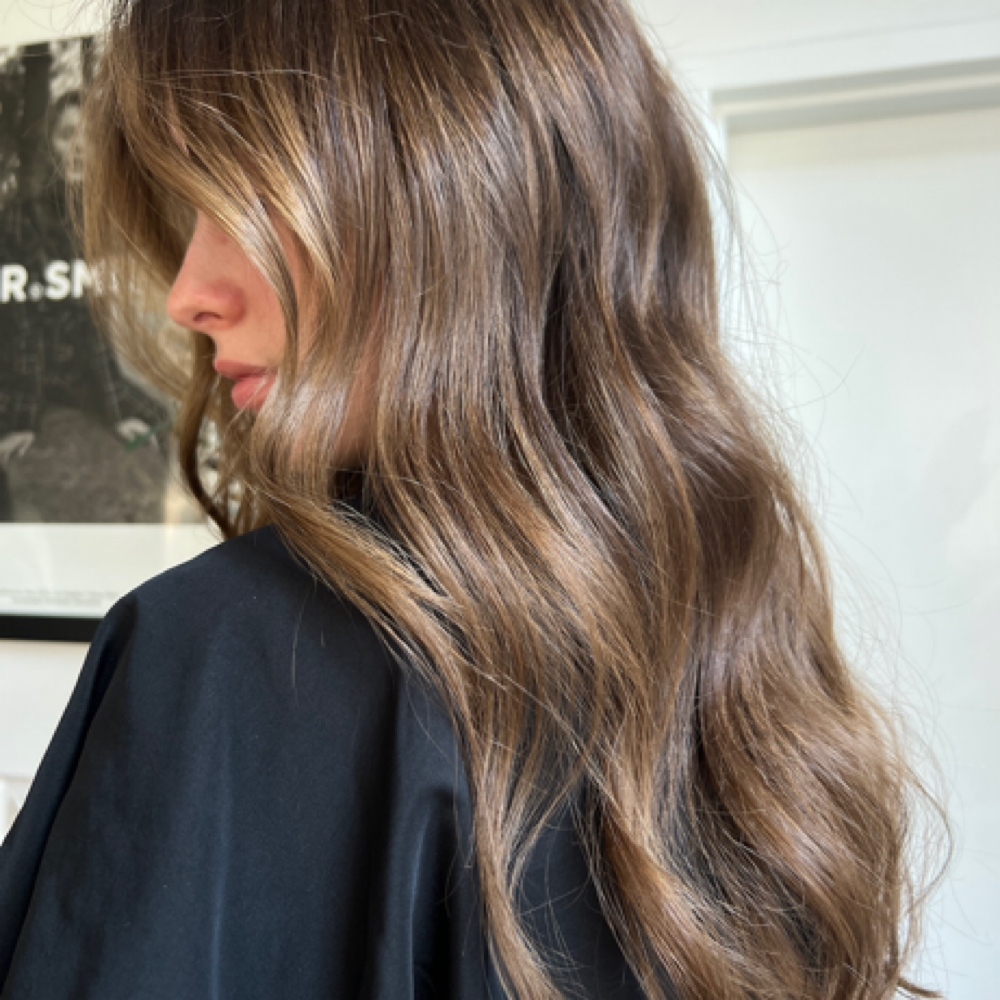 Full Color Transformation at Haileysullivanhairco in Tallahassee, FL