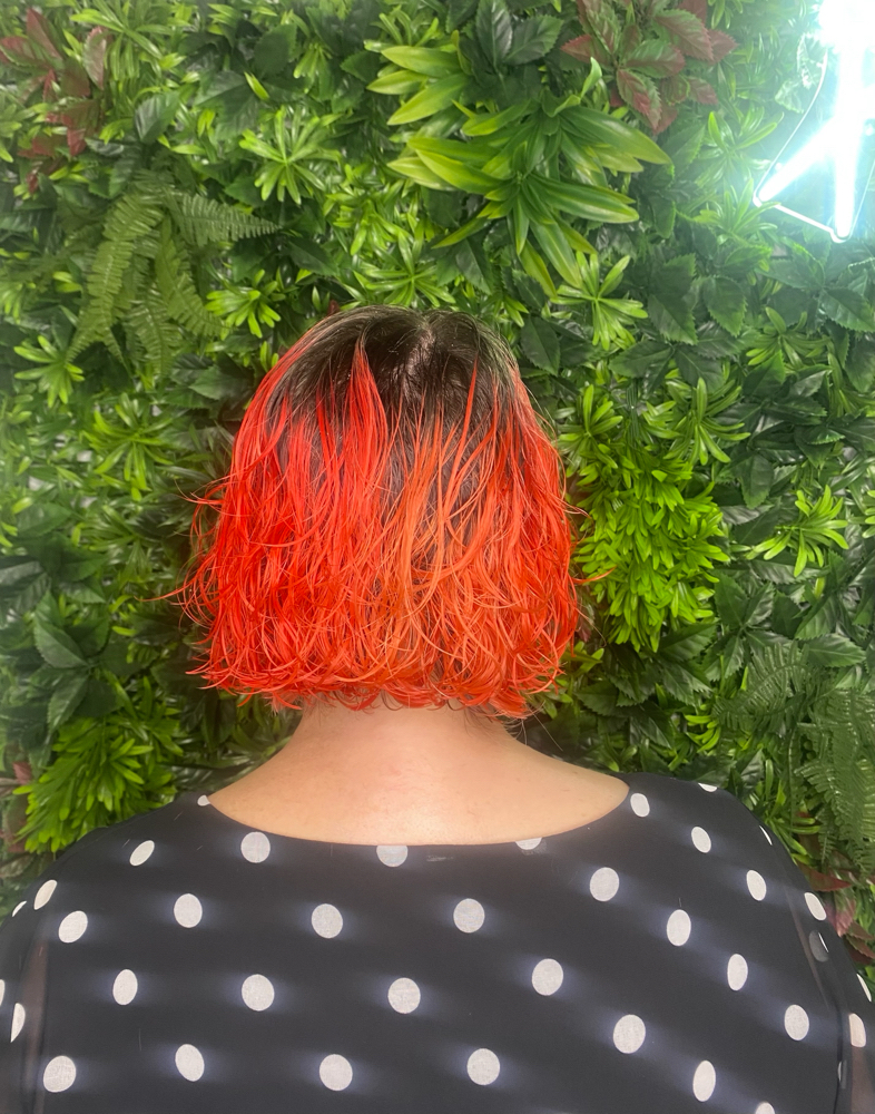 Shampoo & Haircut