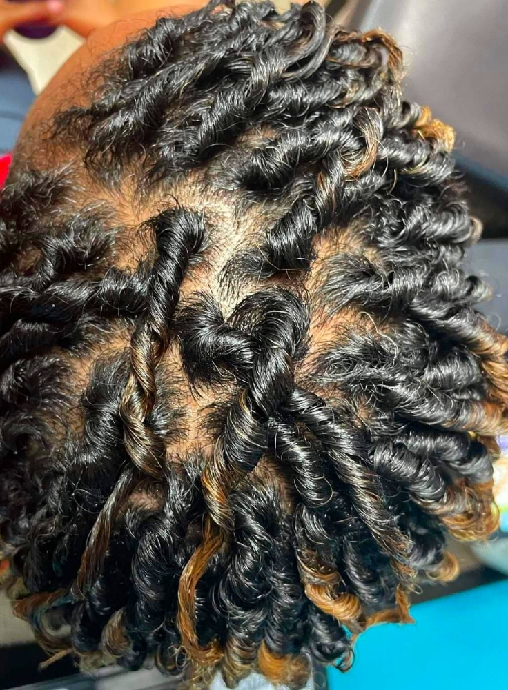 Starter Locs /Detox