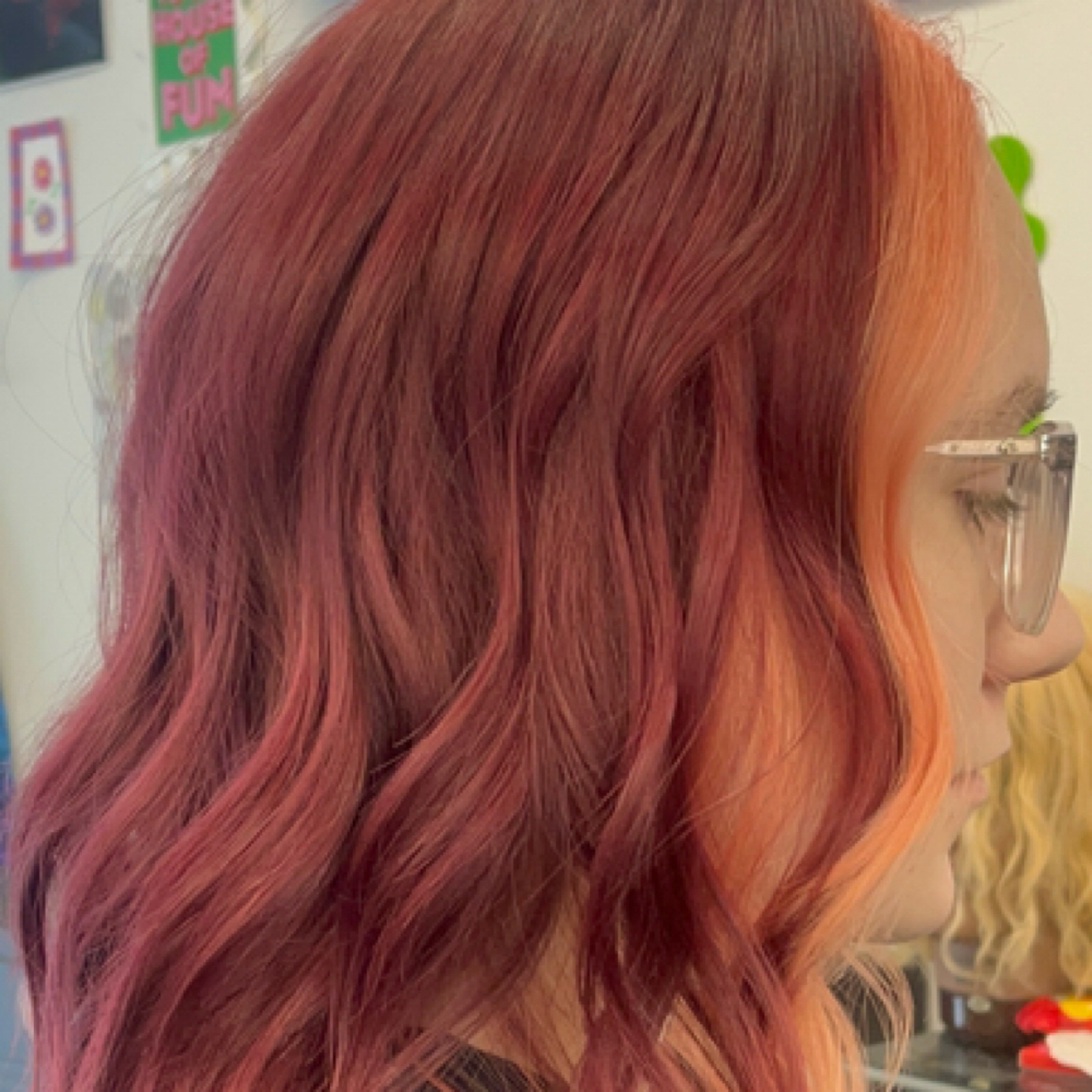 demi/permanenet color at hope the hair artist in Logan, UT