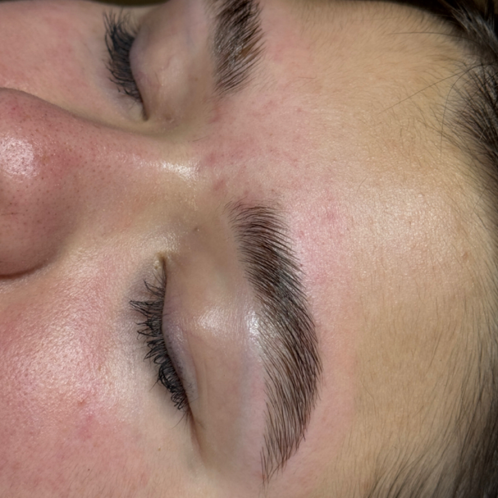 Brow Lammination at Skin Refinery in Ozark, MO