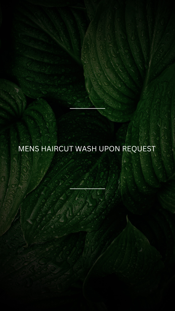Mens Haircuts