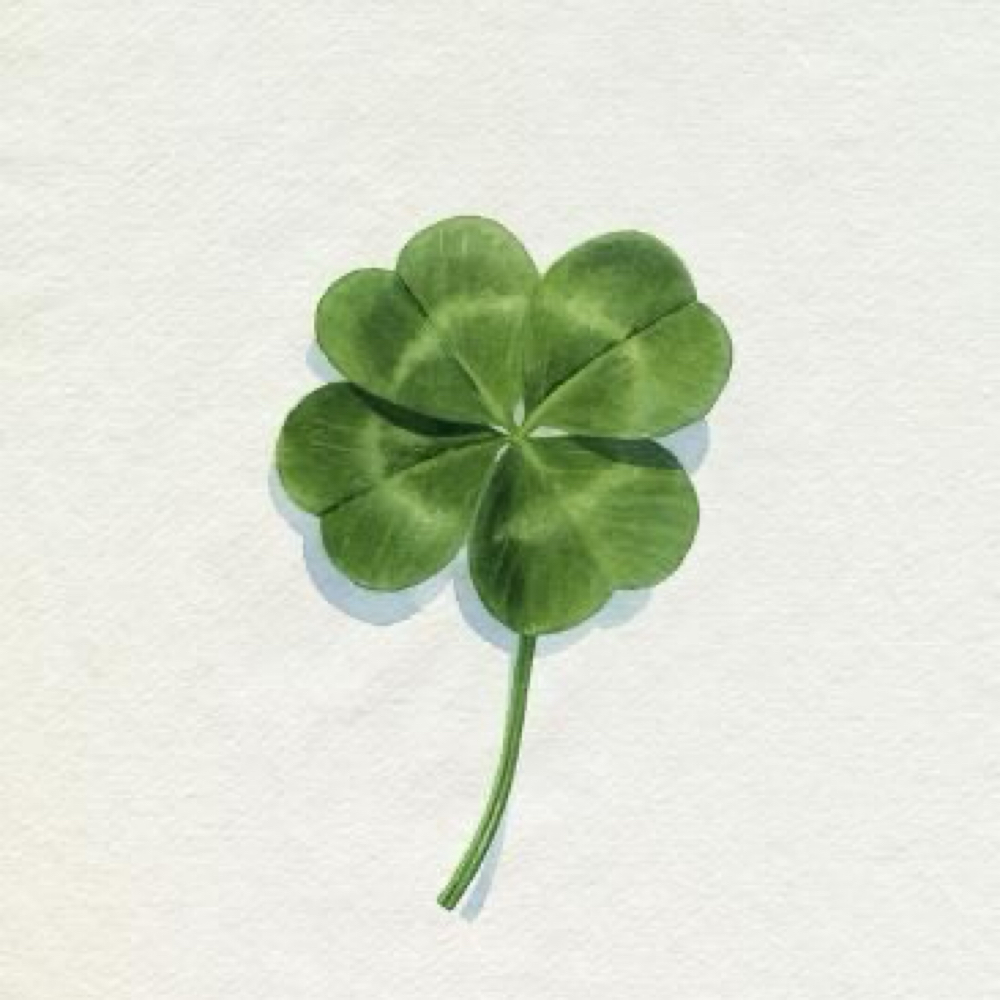 “Luck of the Lush” Lash & Brow Duo at Alchemy Aesthetics in Tampa, FL