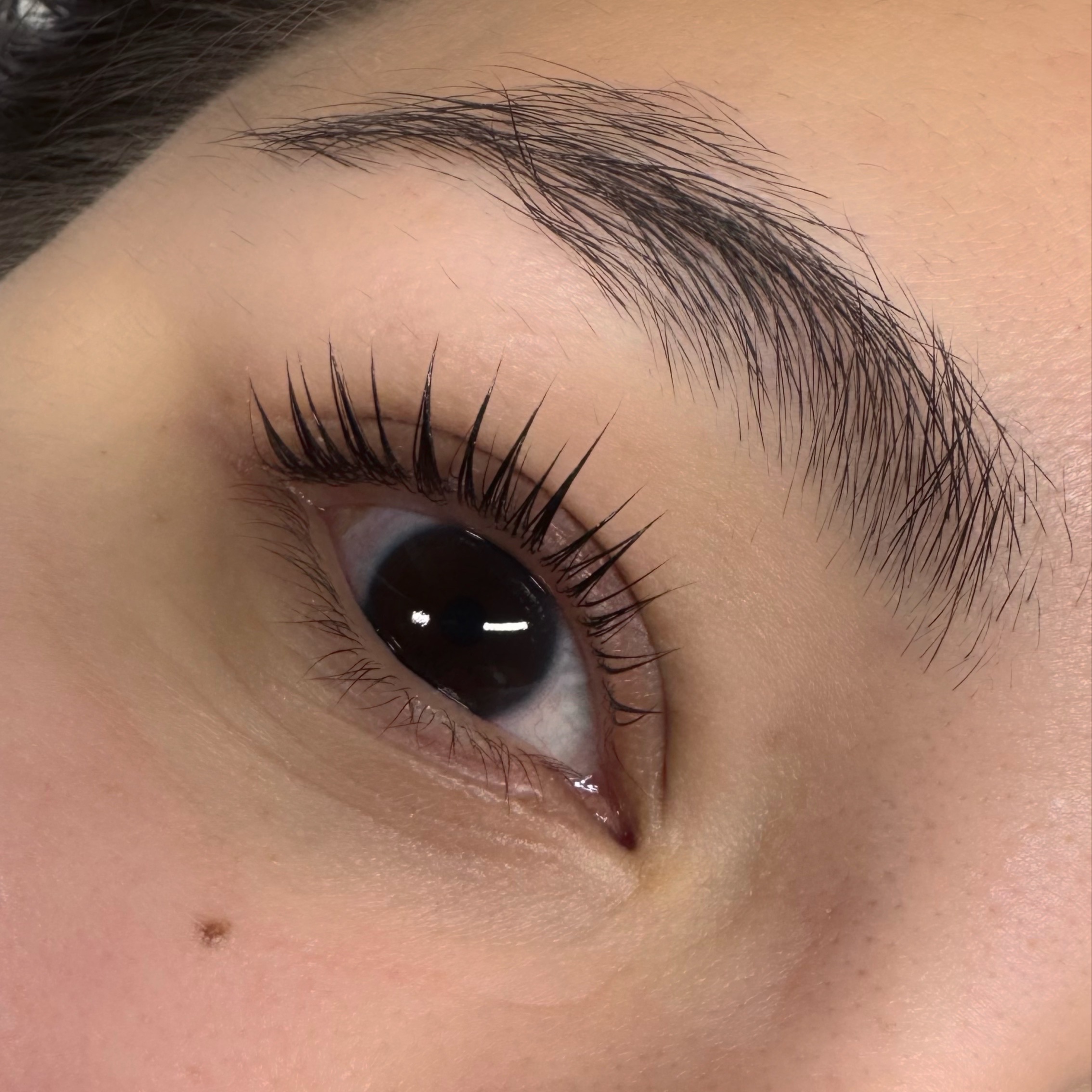 KOREAN LASH LIFT AUG-SEPT SPECIAL at Love Lashing in concord, CA