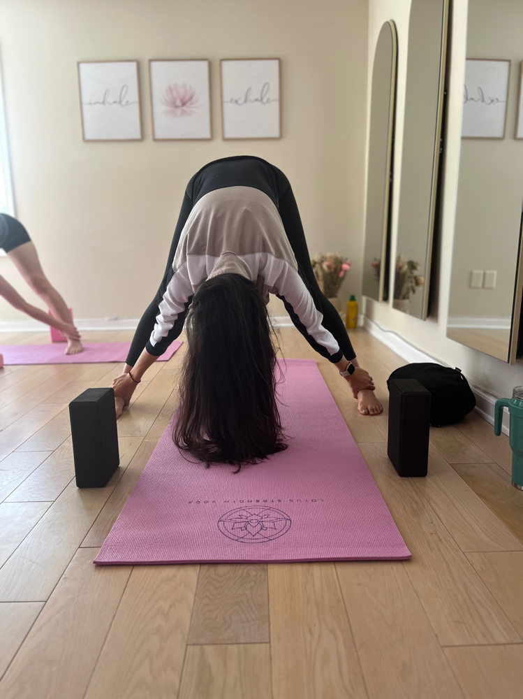 Mindfullness Workshop