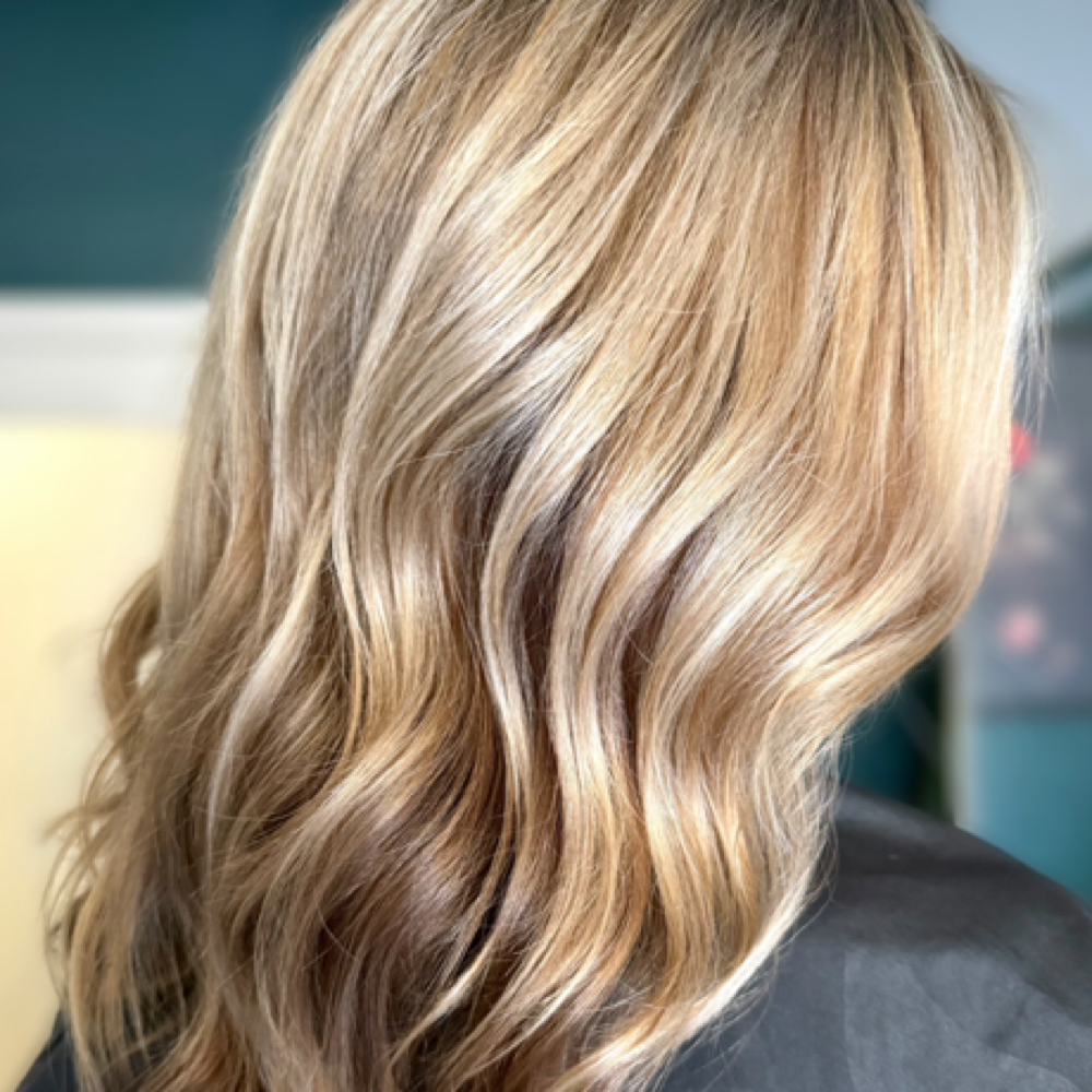 Highlights at Wild Muse in Livermore, CA