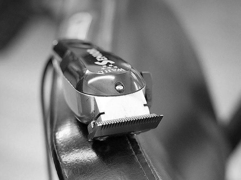 Mens Cut,  & Shampoo