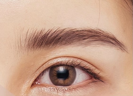 Brow Lamination