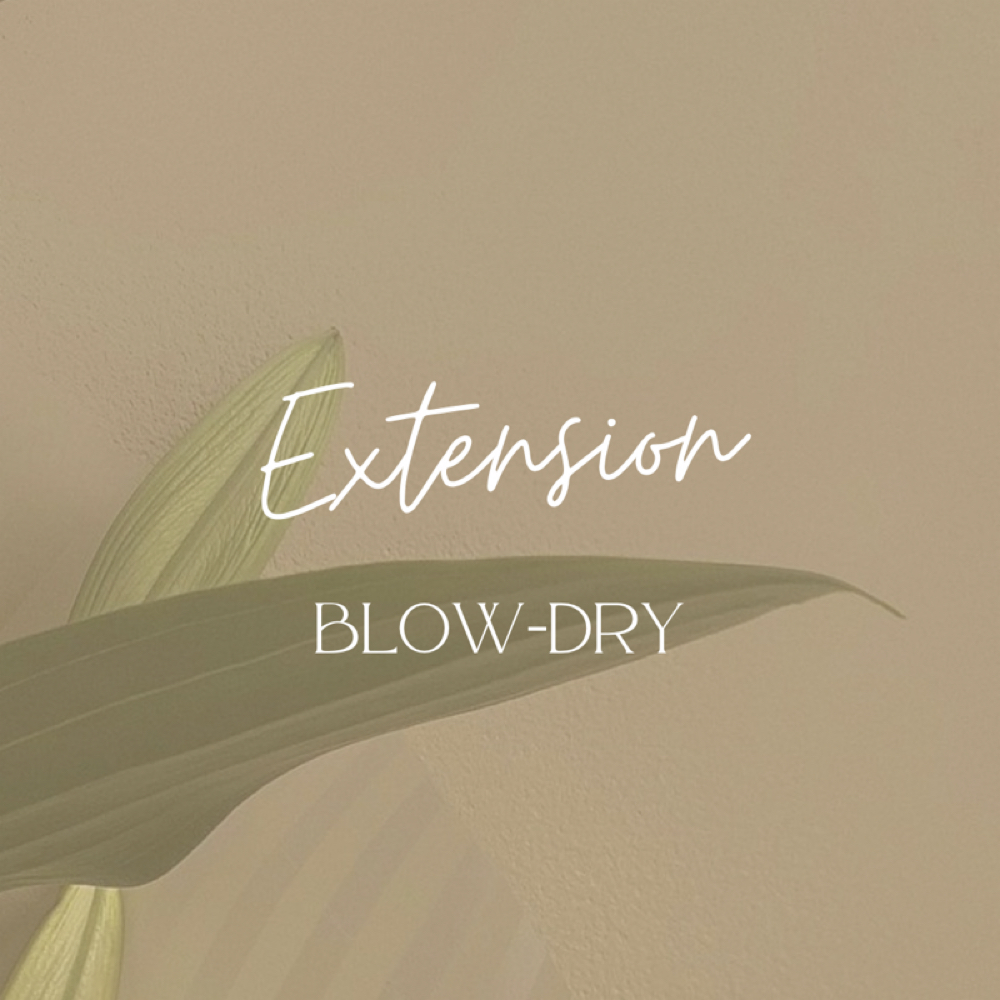 Extension Blow-dry at Hair by Alexis McCaw in New Hartford, CT