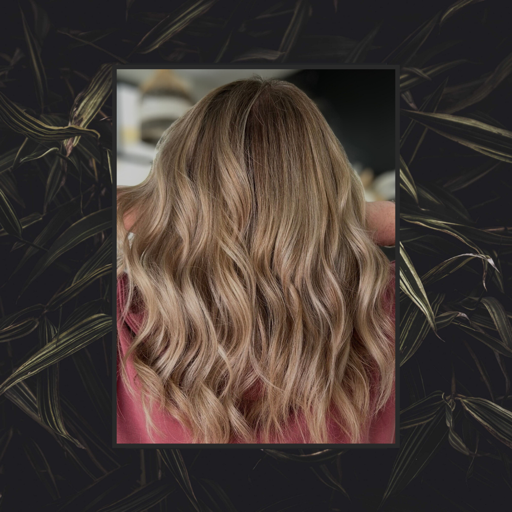 Partial Highlight at Alchemy Hair Studio HKY in Hickory, NC