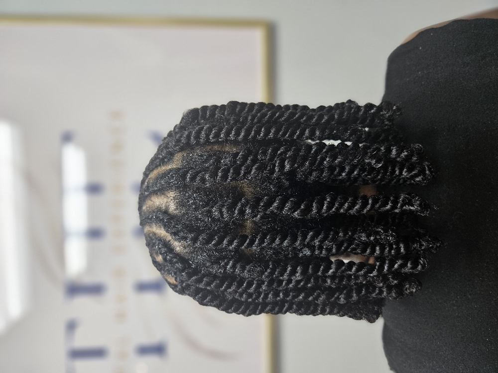 Shampoo & Two Strand Twists