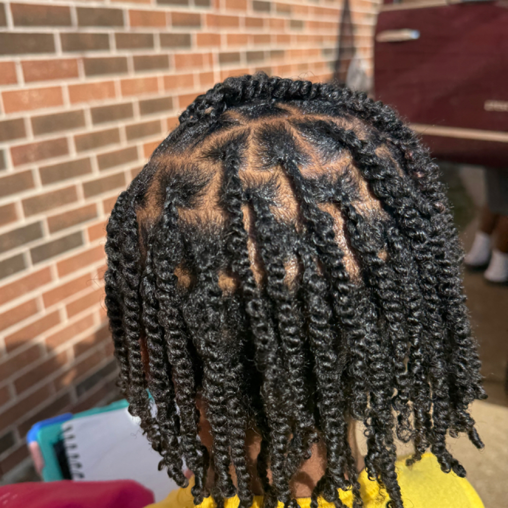 Mini Twist (natural hair only) at Mila Bee Studios in Houston, TX