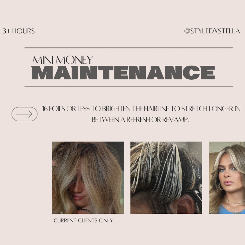 MINI MONEY MAINTENANCE