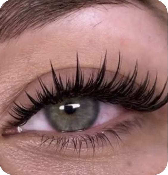Wet Lash Set