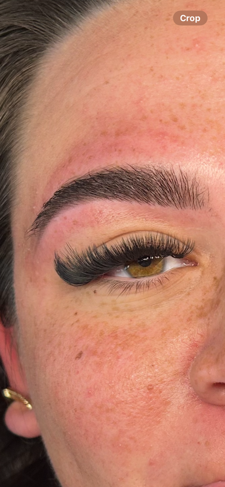 Brow Wax And Tint