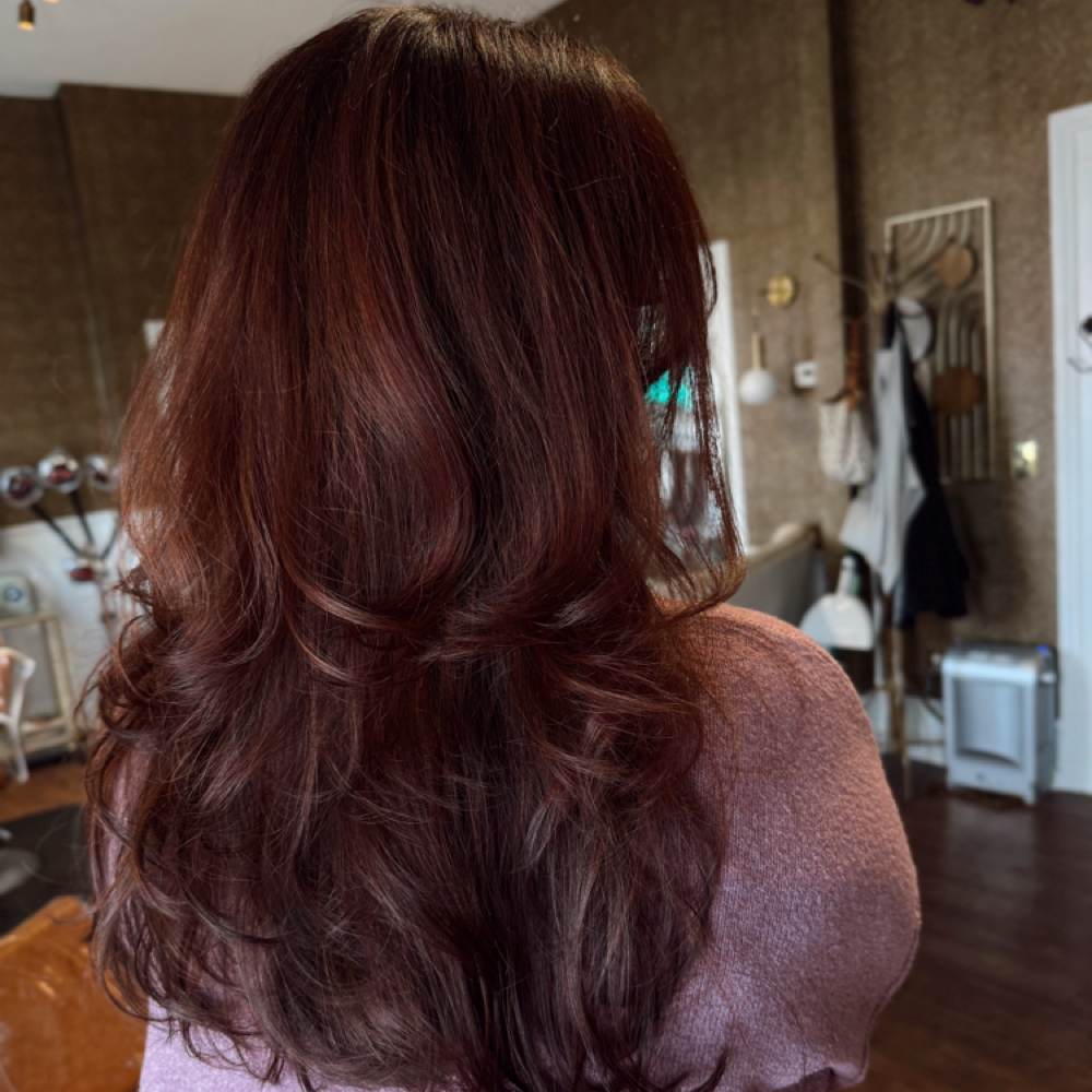 THE GLOBAL COLOUR at Hair by Marci in Newnan, GA