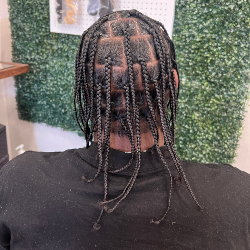 Braid Plats (medium)