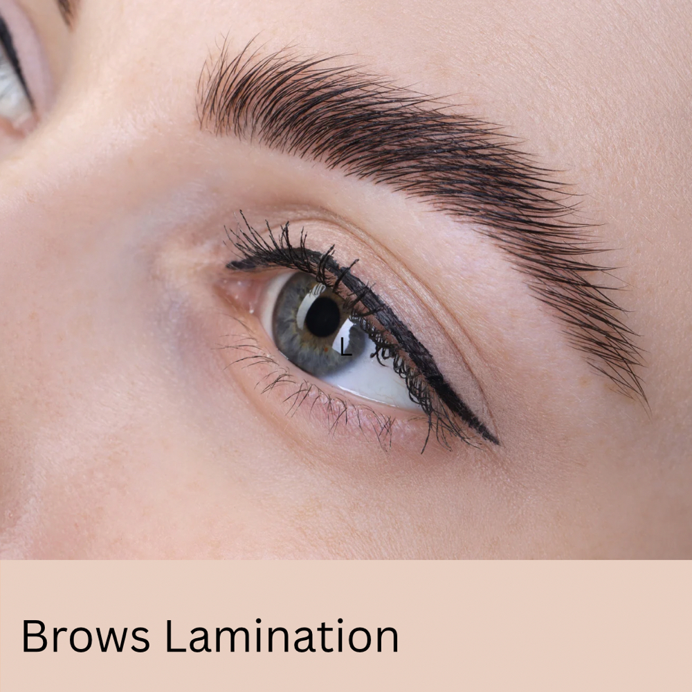 Brows Lamination at Nina Tran - Beauty & Plus in Tyler, TX