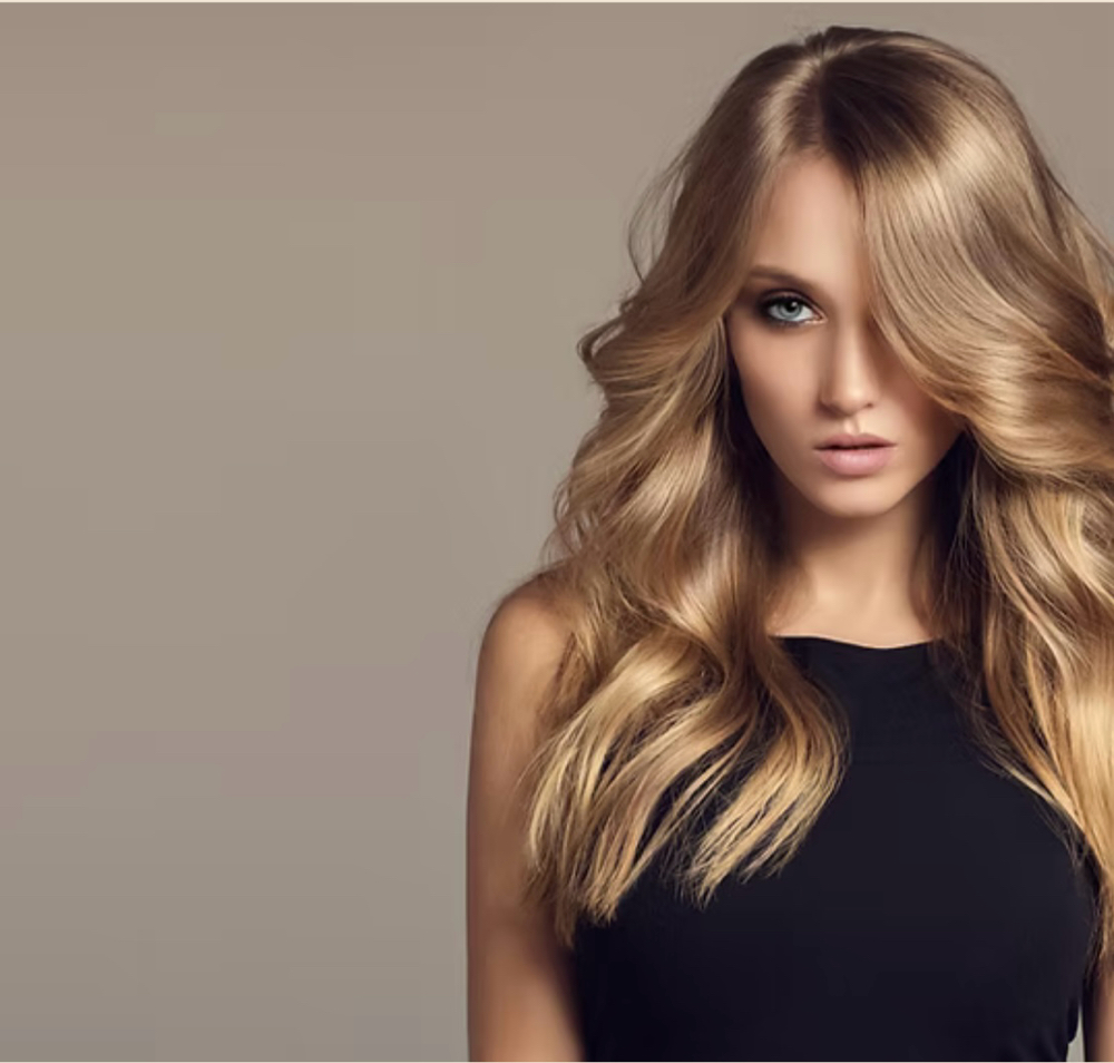 Haus Full Custom Maintenance