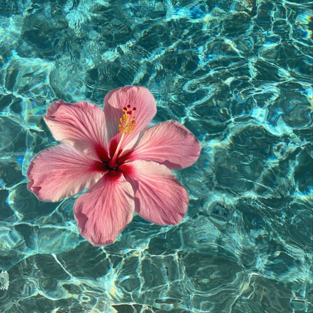 3 Week Fill at Lash World Studio in Live Oak, TX