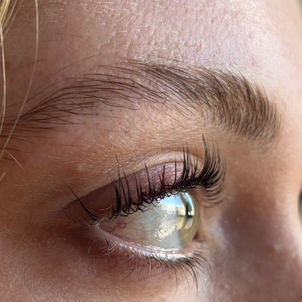 Brow Lamination + Tint (optional) at Etheria by Rebecca LLC in Windsor Locks, CT