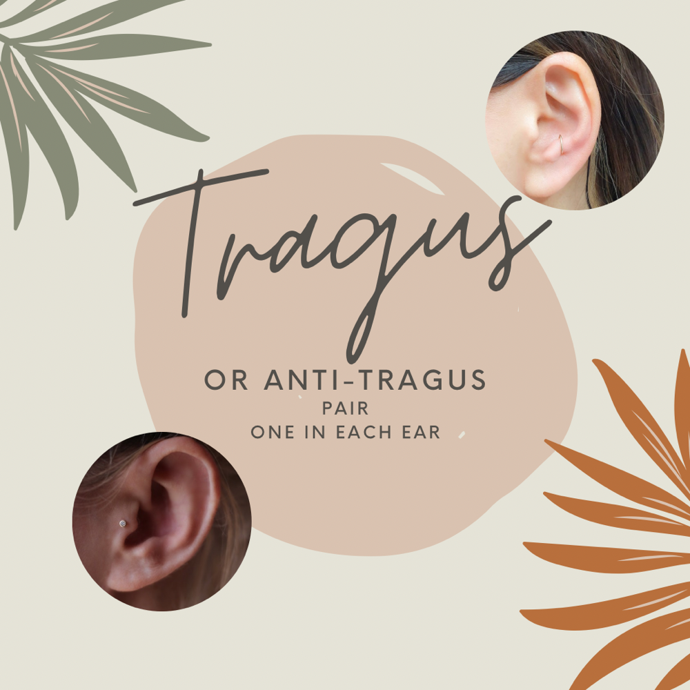 Tragus/Anti-Tragus (Pair)