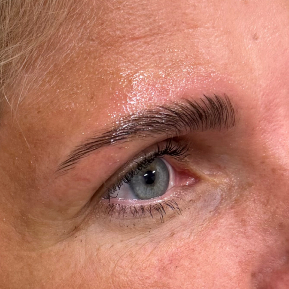 Eyebrow Lamintion + Tint at Caylee Brown in Bondurant, IA