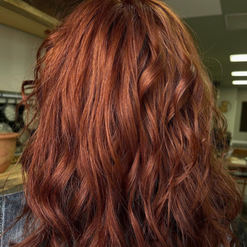 All Over Color at Deeply Rooted Beauty Salon in Branson, MO