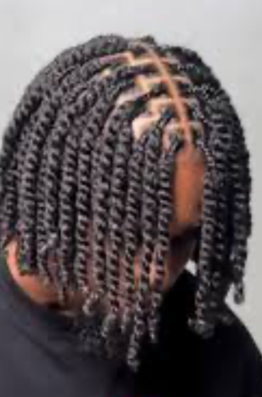 Two Strand Twists