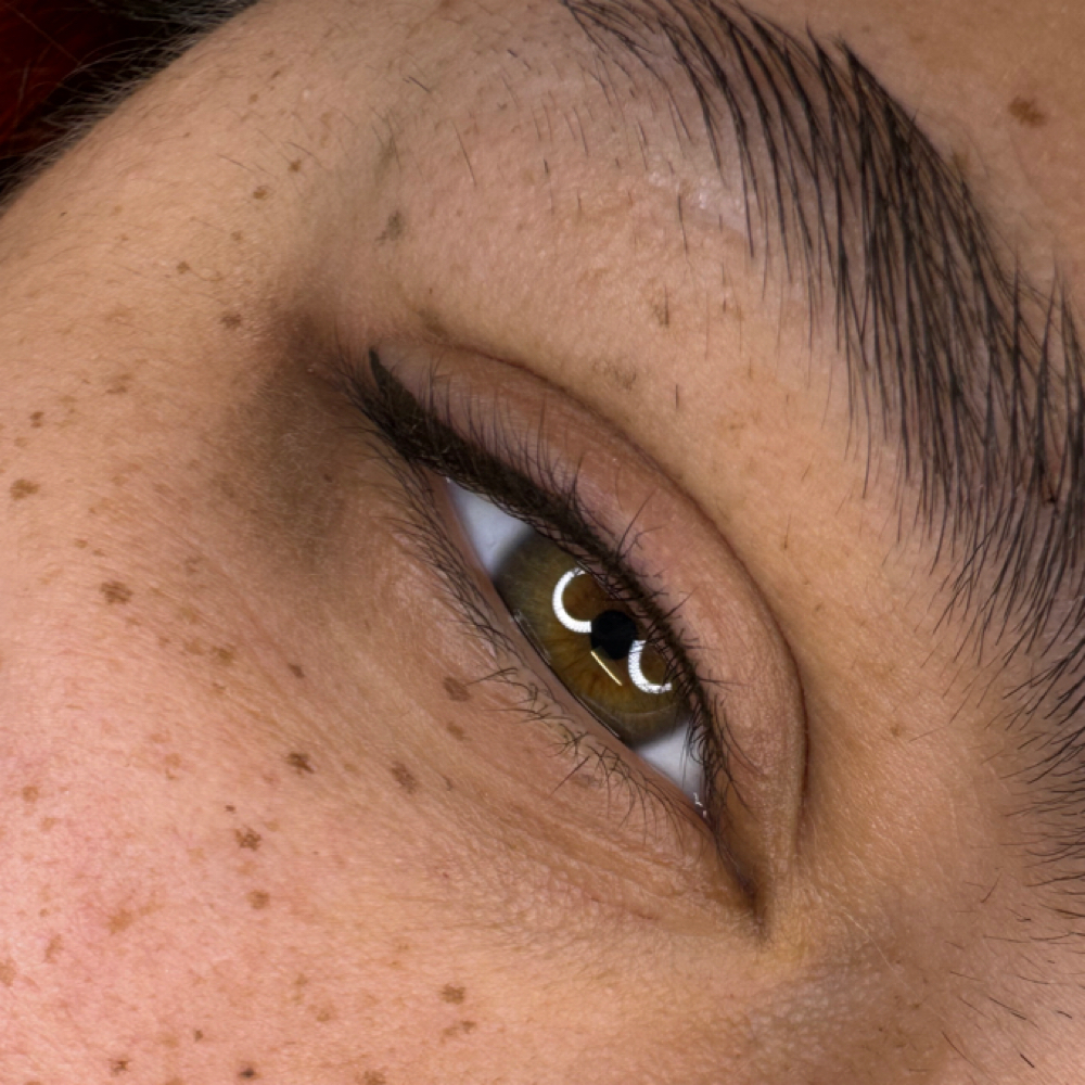 Eyelash Enhancement Tattoo at The Bladed Brow in St.louis, MO