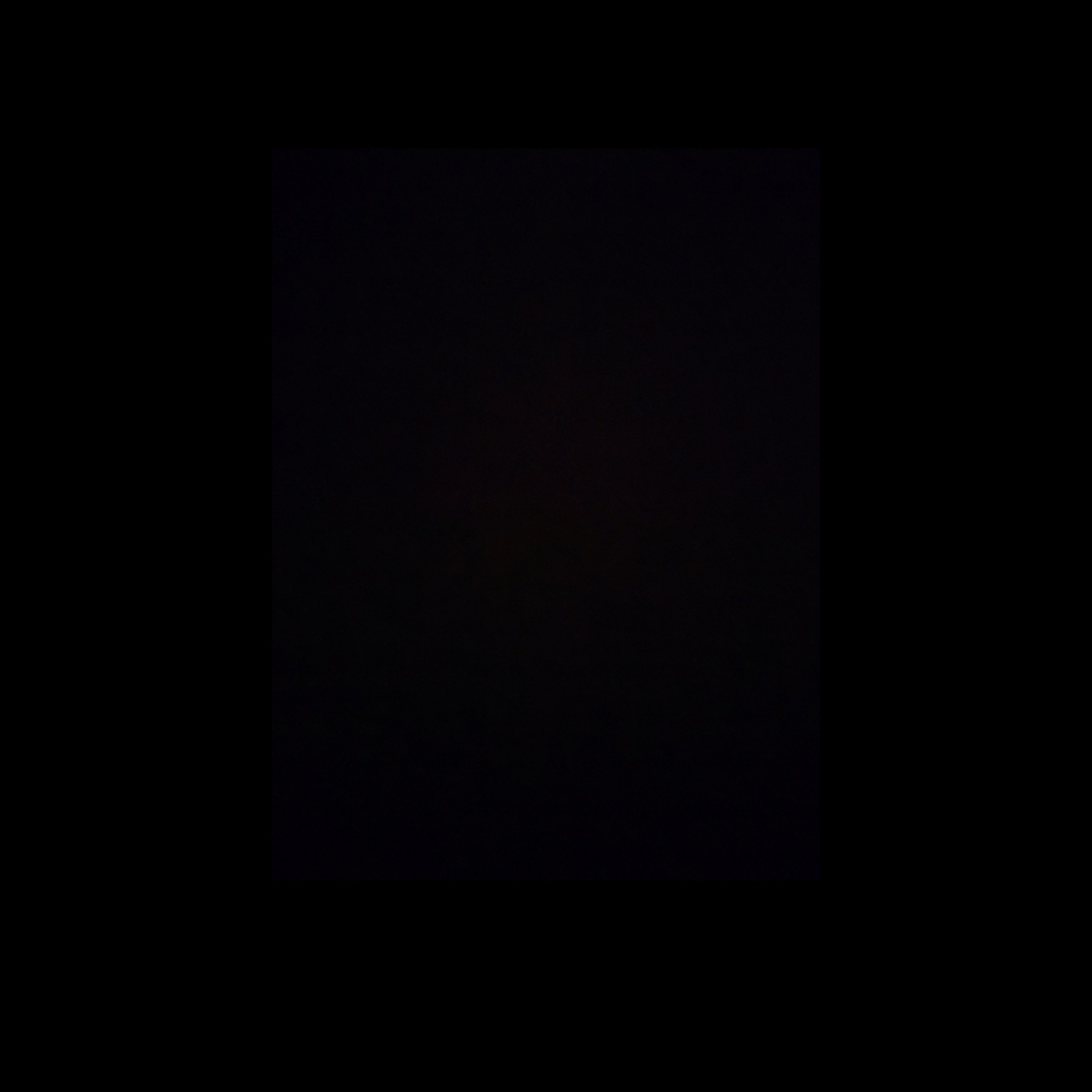 Scalp Detox and Balance at SOLACE SPA in Miami, FL