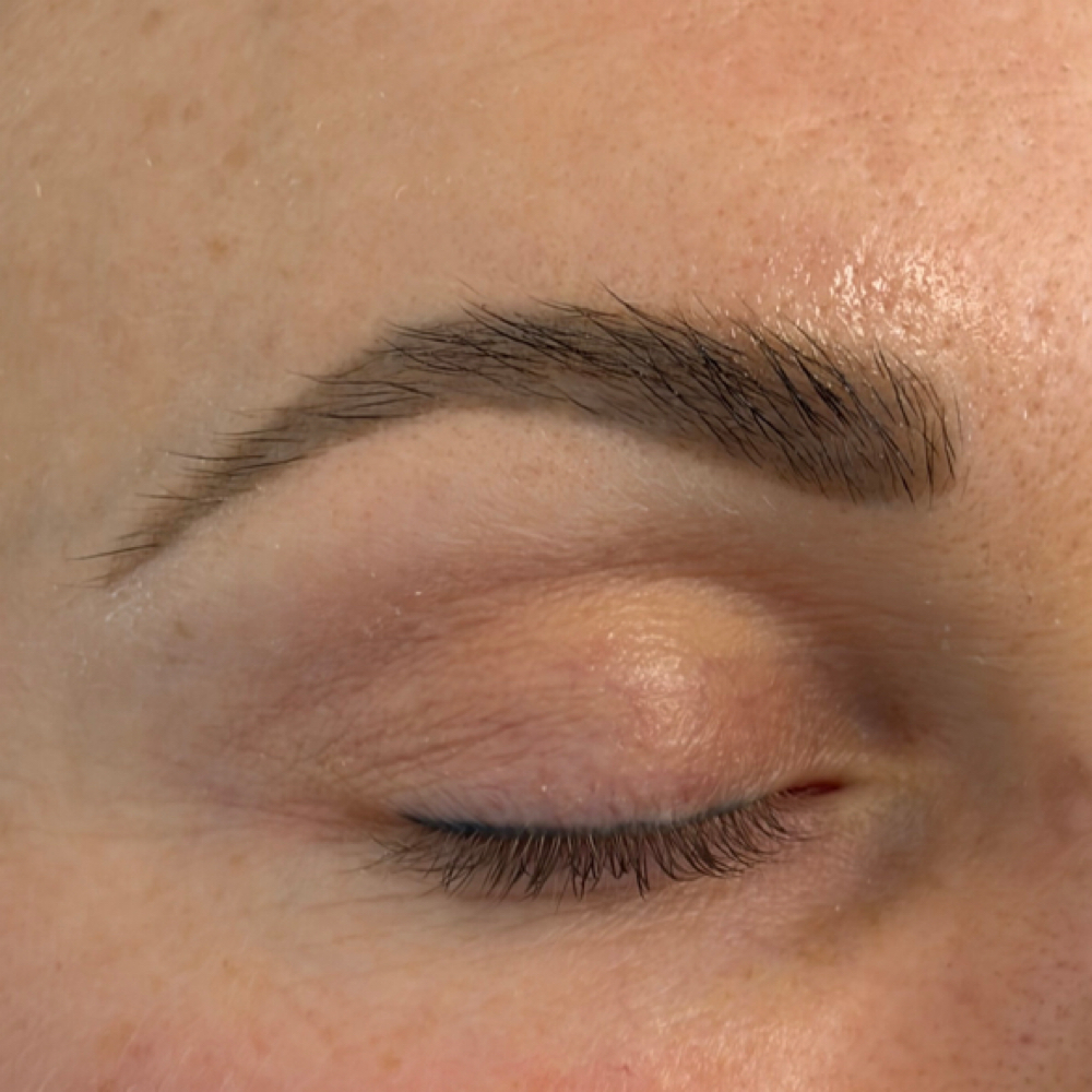 Eyebrow Shaping and Tinting at Anna Art Nail Studio LLC in San Mateo, CA