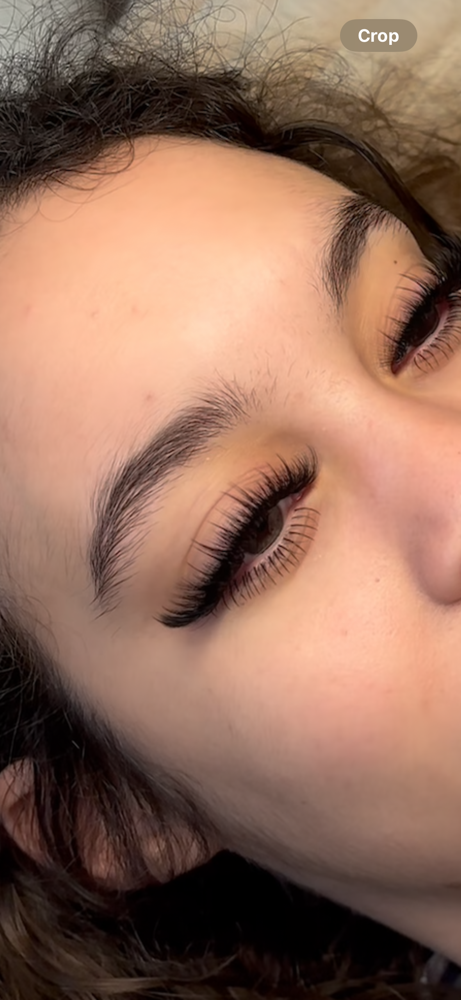 Bottom Lashes