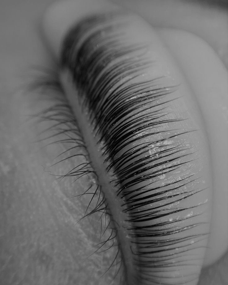 Lash Lift