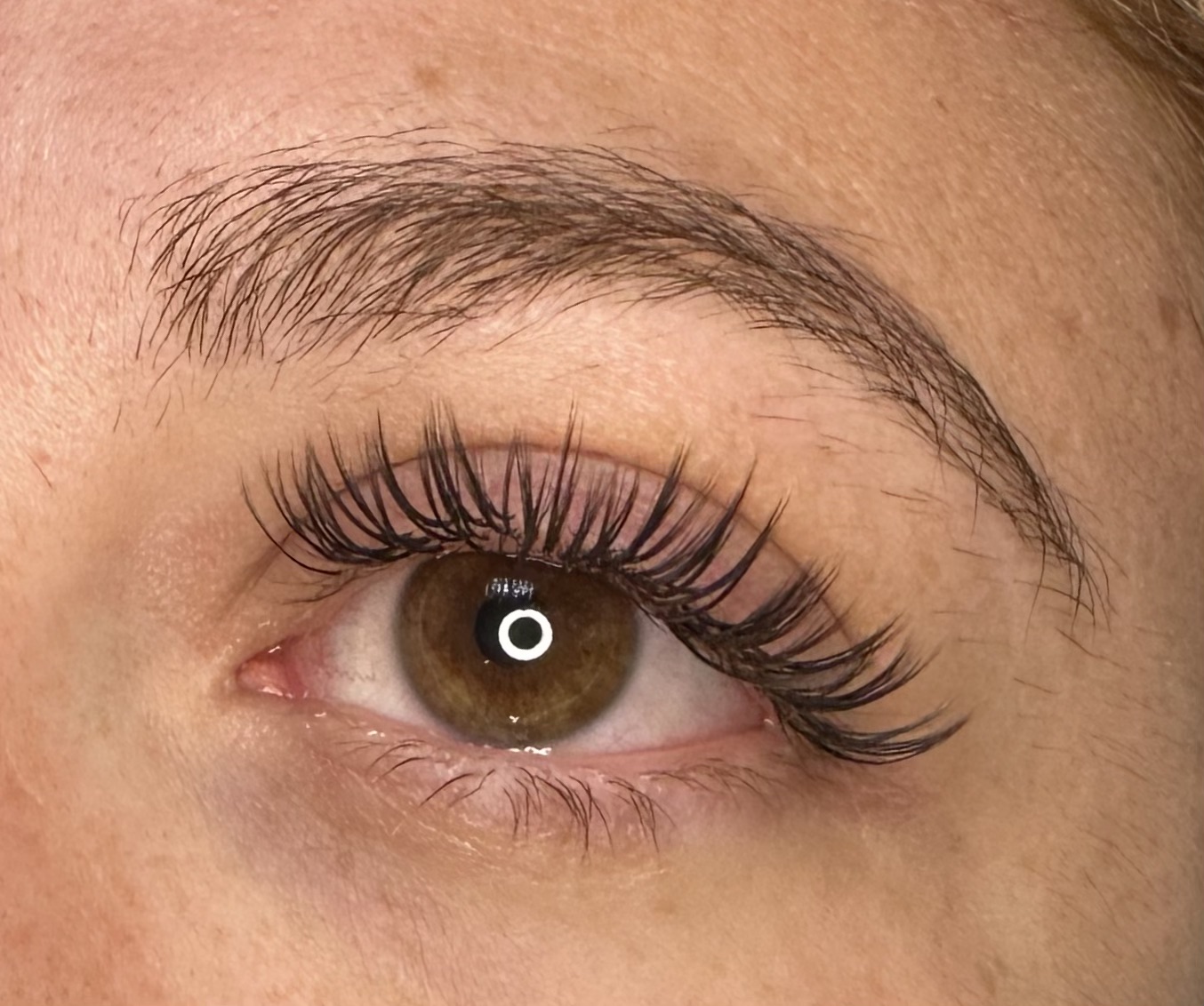 Brown Lash Set