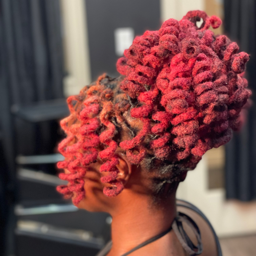 WASH RETWIST & CURLS at HAIR BY LALA LLC in Brooklyn, NY