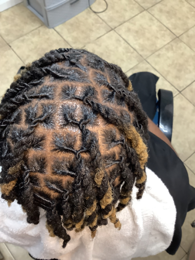 Starter Dreads