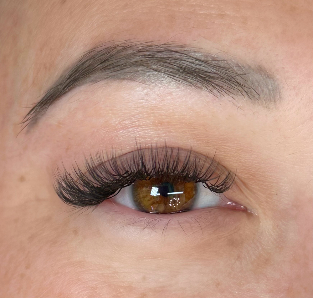 The Hybrid Lash Set