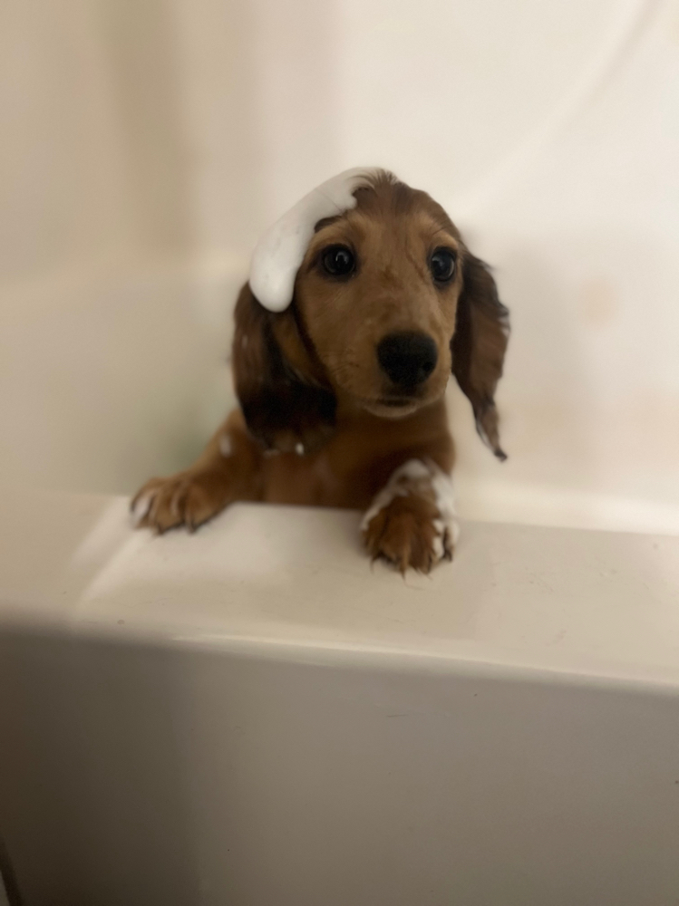 Bubble Bliss Bath