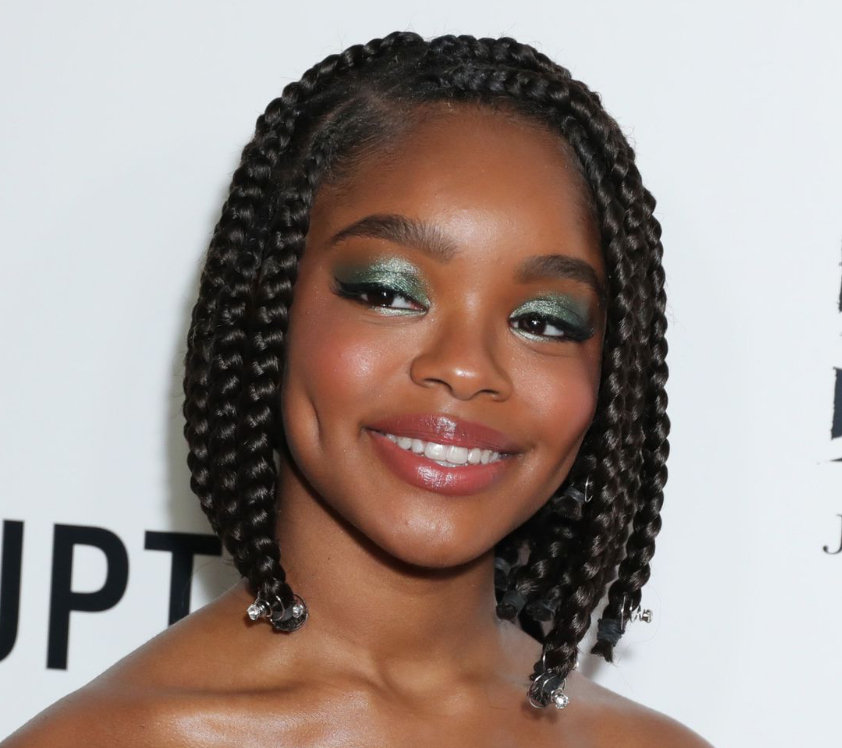 Braided Bob Above Shoulders (large)