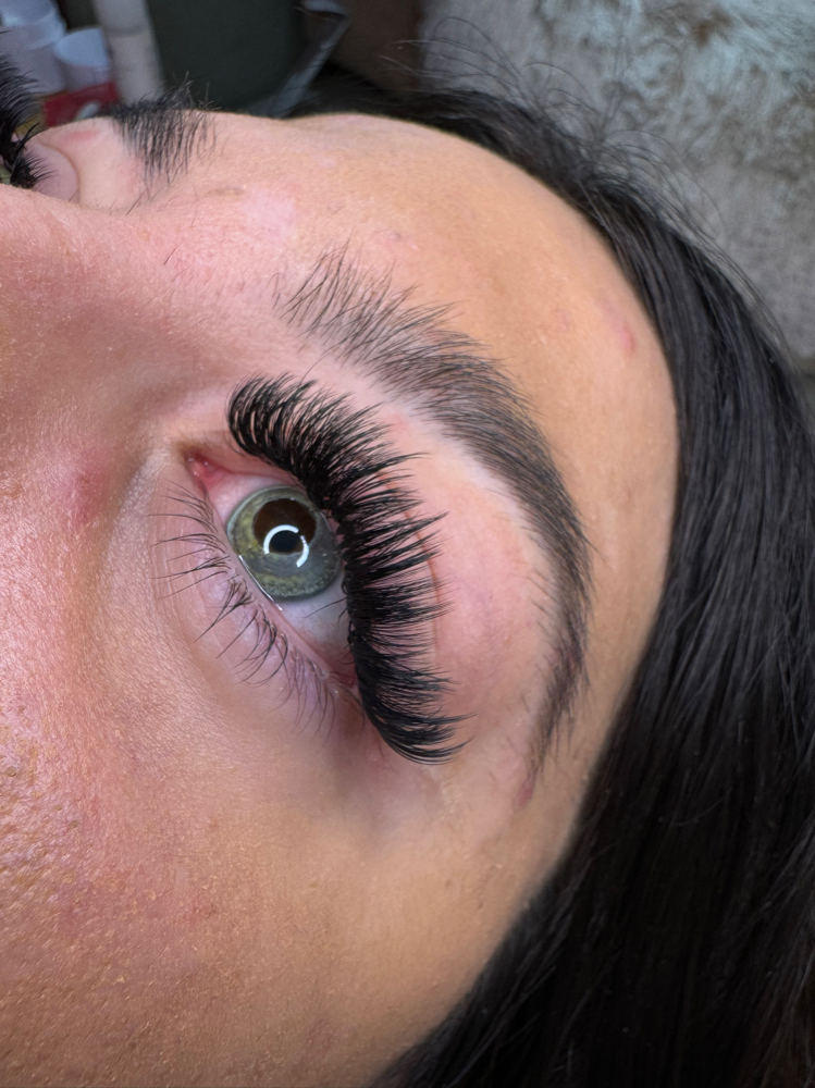 Volume Lashes