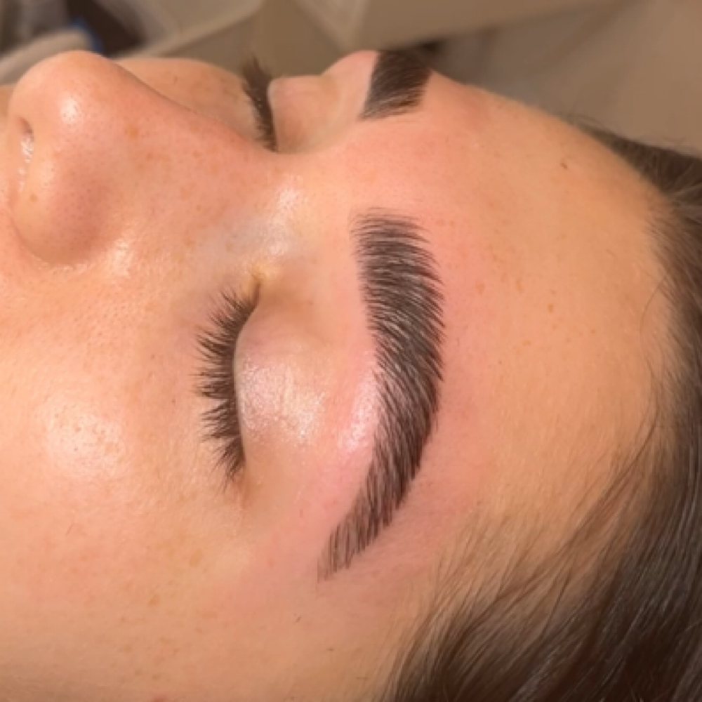 Brow Lamination & Tint at KayVita Wellness Spa in Tampa, FL