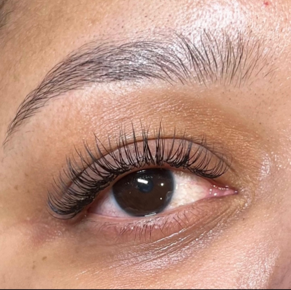 Classic Lash Touchup