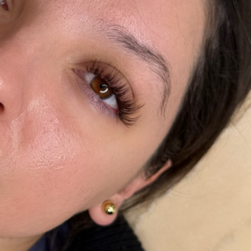 Brown Lash Set at MBS BEAUTY in Burbank, IL